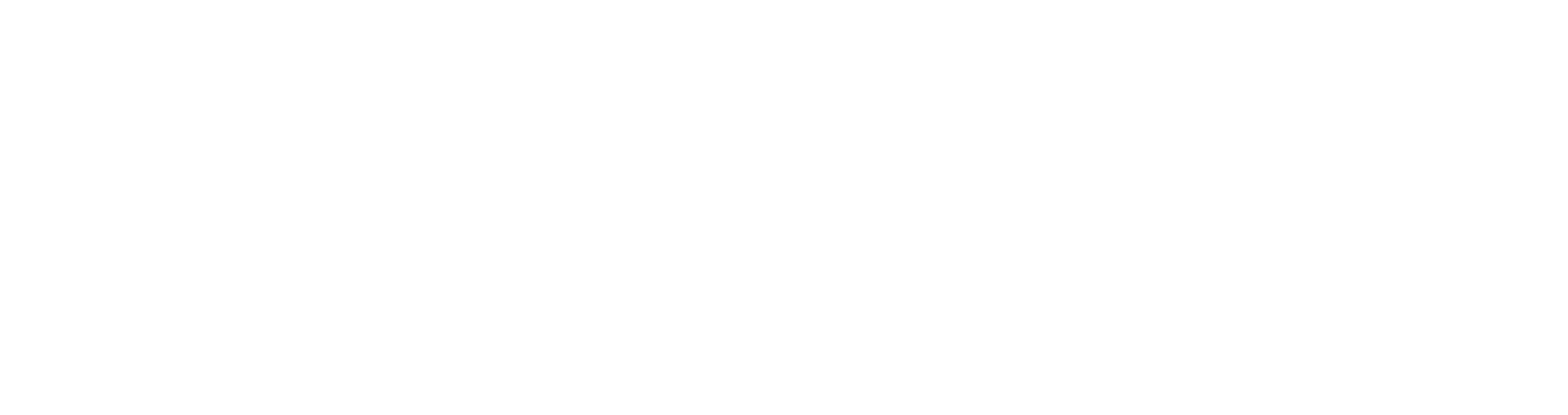 VicToken